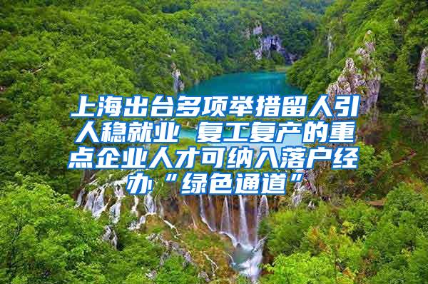 上海出台多项举措留人引人稳就业 复工复产的重点企业人才可纳入落户经办“绿色通道”