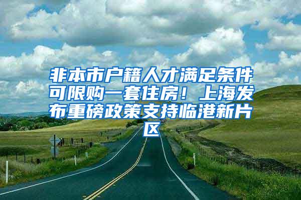 非本市户籍人才满足条件可限购一套住房！上海发布重磅政策支持临港新片区