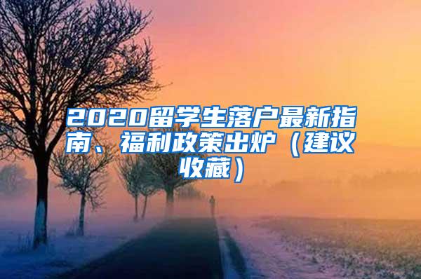 2020留学生落户最新指南、福利政策出炉（建议收藏）