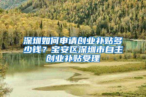 深圳如何申请创业补贴多少钱？宝安区深圳市自主创业补贴受理