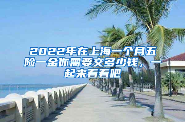 2022年在上海一个月五险一金你需要交多少钱，一起来看看吧