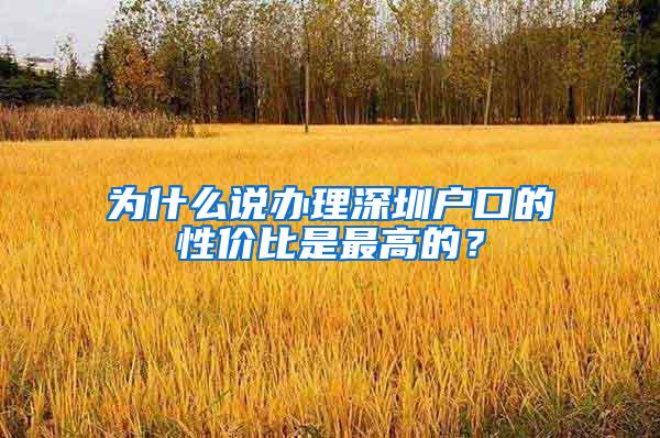 为什么说办理深圳户口的性价比是最高的？