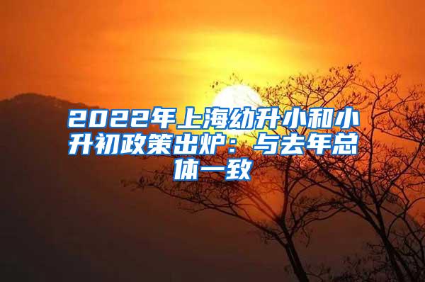 2022年上海幼升小和小升初政策出炉：与去年总体一致