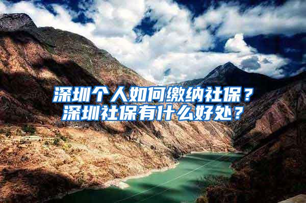 深圳个人如何缴纳社保？深圳社保有什么好处？