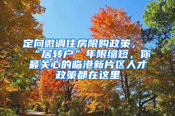 定向微调住房限购政策，“居转户”年限缩短，你最关心的临港新片区人才政策都在这里