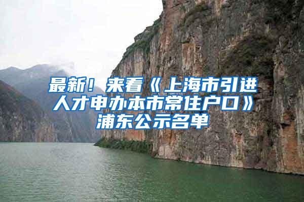 最新！来看《上海市引进人才申办本市常住户口》浦东公示名单