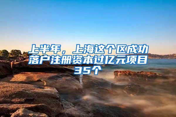 上半年，上海这个区成功落户注册资本过亿元项目35个