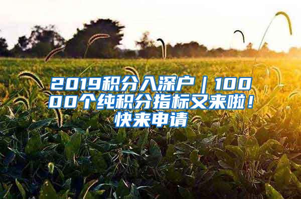 2019积分入深户｜10000个纯积分指标又来啦！快来申请