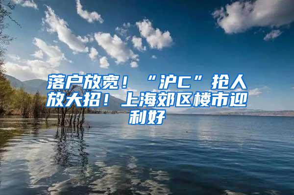 落户放宽！“沪C”抢人放大招！上海郊区楼市迎利好