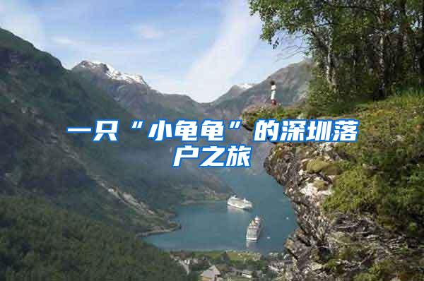 一只“小龟龟”的深圳落户之旅