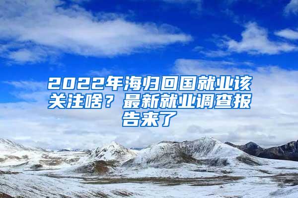 2022年海归回国就业该关注啥？最新就业调查报告来了