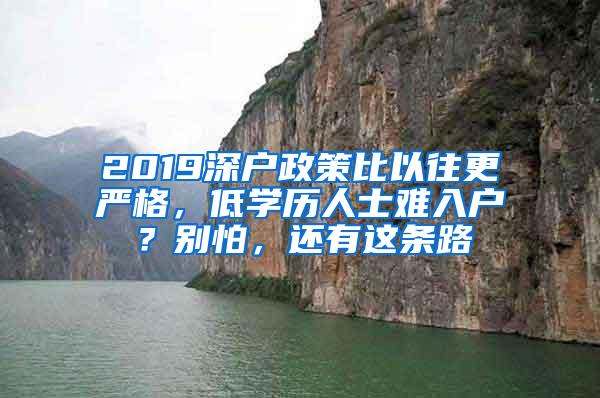 2019深户政策比以往更严格，低学历人士难入户？别怕，还有这条路