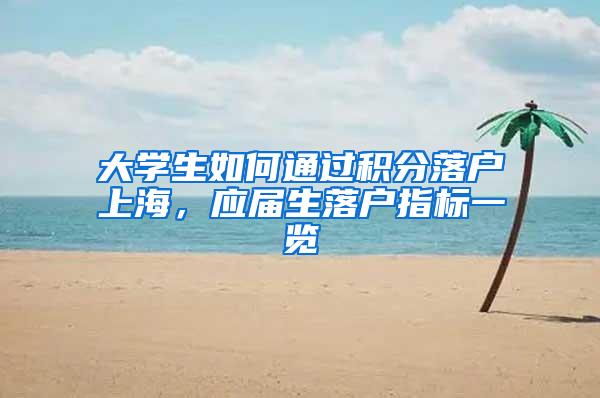 大学生如何通过积分落户上海，应届生落户指标一览