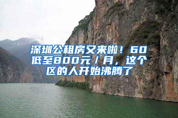 深圳公租房又来啦！60㎡低至800元／月，这个区的人开始沸腾了