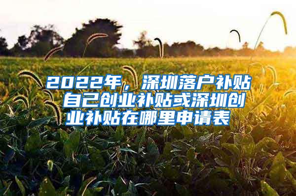 2022年，深圳落户补贴 自己创业补贴或深圳创业补贴在哪里申请表