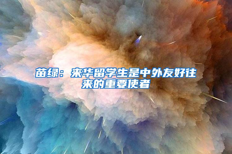 苗绿：来华留学生是中外友好往来的重要使者