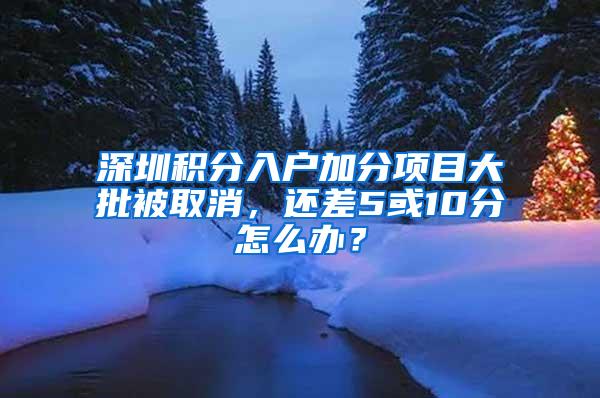 深圳积分入户加分项目大批被取消，还差5或10分怎么办？