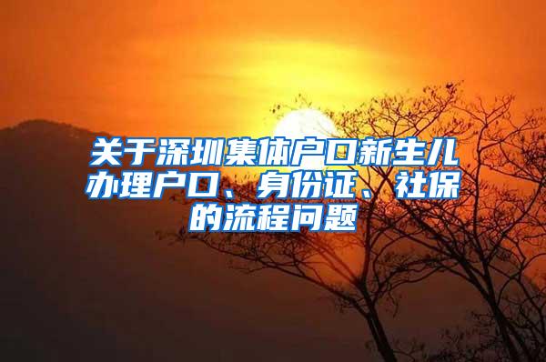 关于深圳集体户口新生儿办理户口、身份证、社保的流程问题