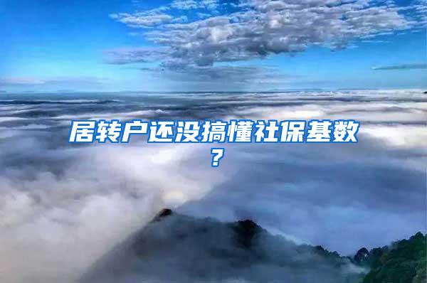 居转户还没搞懂社保基数？