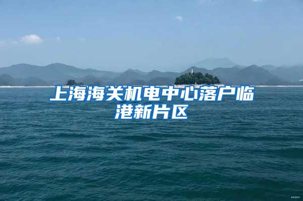 上海海关机电中心落户临港新片区