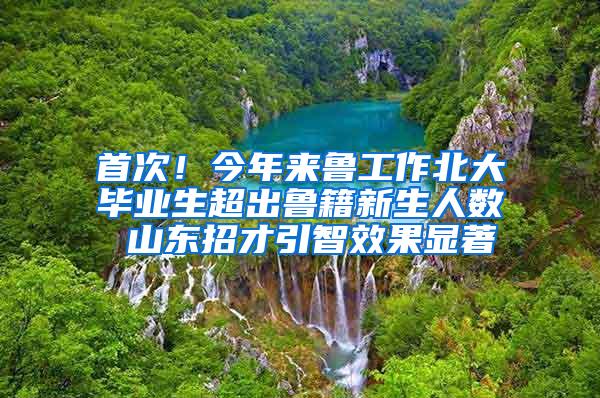 首次！今年来鲁工作北大毕业生超出鲁籍新生人数 山东招才引智效果显著