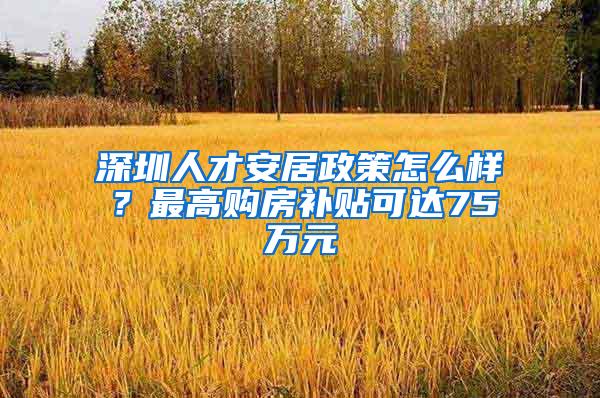 深圳人才安居政策怎么样？最高购房补贴可达75万元