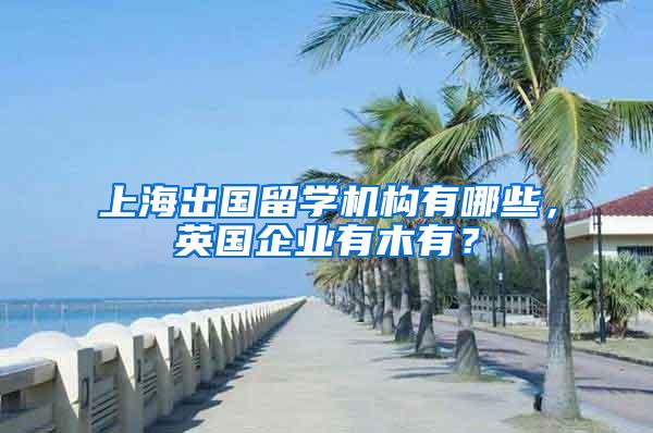 上海出国留学机构有哪些，英国企业有木有？