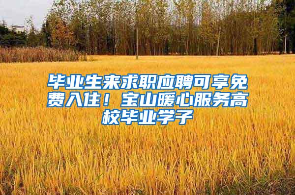 毕业生来求职应聘可享免费入住！宝山暖心服务高校毕业学子