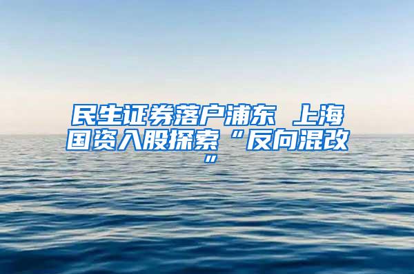 民生证券落户浦东 上海国资入股探索“反向混改”