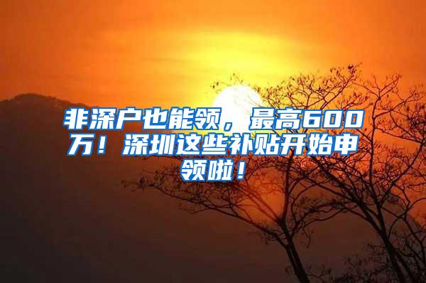 非深户也能领，最高600万！深圳这些补贴开始申领啦！