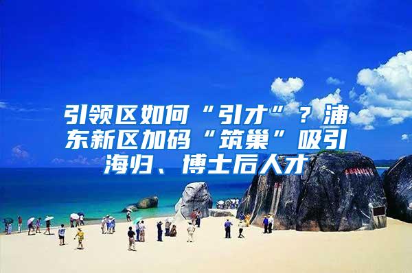 引领区如何“引才”？浦东新区加码“筑巢”吸引海归、博士后人才