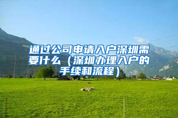 通过公司申请入户深圳需要什么（深圳办理入户的手续和流程）