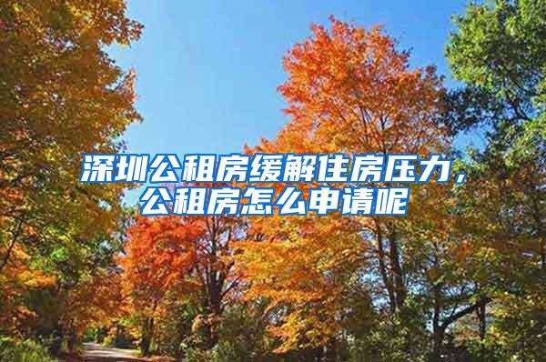 深圳公租房缓解住房压力，公租房怎么申请呢