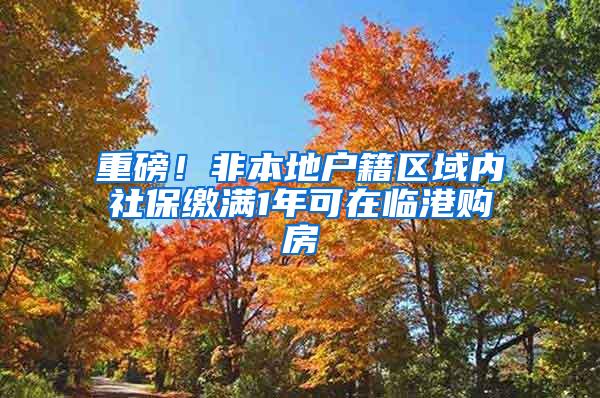 重磅！非本地户籍区域内社保缴满1年可在临港购房