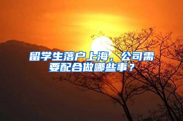 留学生落户上海，公司需要配合做哪些事？