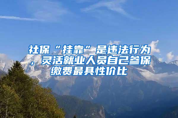 社保“挂靠”是违法行为，灵活就业人员自己参保缴费最具性价比