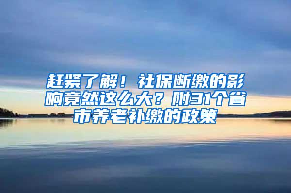 赶紧了解！社保断缴的影响竟然这么大？附31个省市养老补缴的政策