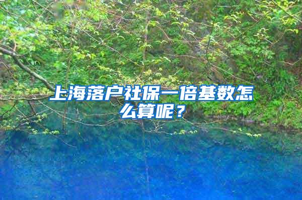 上海落户社保一倍基数怎么算呢？