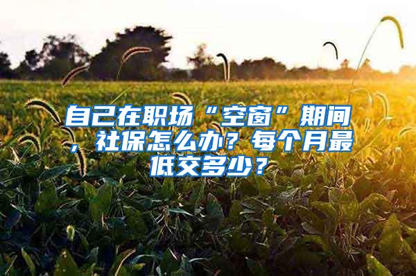 自己在职场“空窗”期间，社保怎么办？每个月最低交多少？