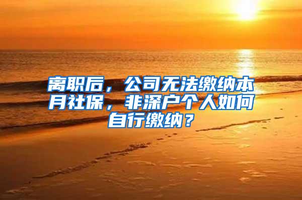 离职后，公司无法缴纳本月社保，非深户个人如何自行缴纳？