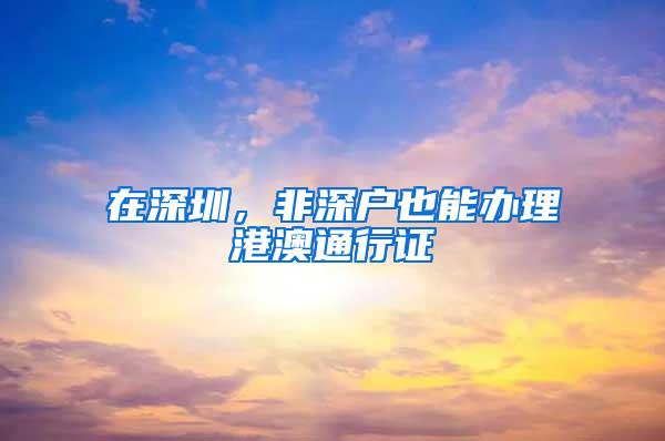 在深圳，非深户也能办理港澳通行证