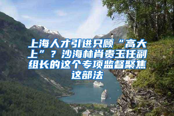 上海人才引进只顾“高大上”？沙海林肖贵玉任副组长的这个专项监督聚焦这部法