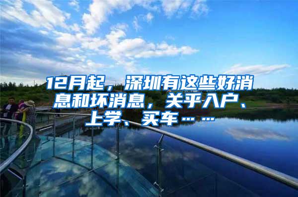 12月起，深圳有这些好消息和坏消息，关乎入户、上学、买车……