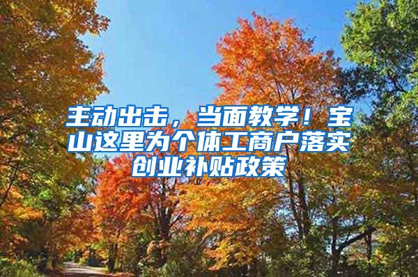 主动出击，当面教学！宝山这里为个体工商户落实创业补贴政策