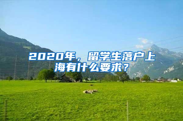 2020年，留学生落户上海有什么要求？