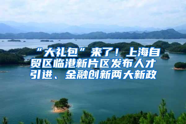 “大礼包”来了！上海自贸区临港新片区发布人才引进、金融创新两大新政