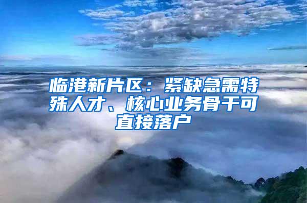 临港新片区：紧缺急需特殊人才、核心业务骨干可直接落户