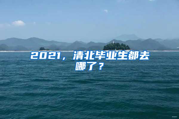 2021，清北毕业生都去哪了？