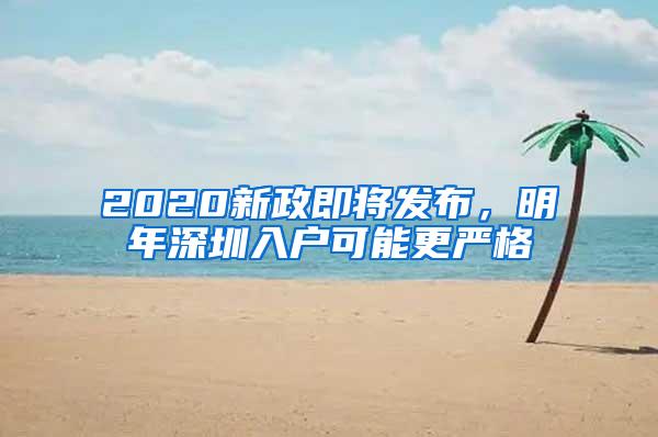 2020新政即将发布，明年深圳入户可能更严格