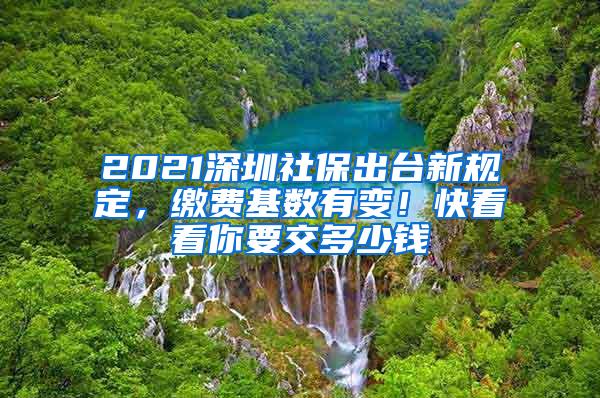 2021深圳社保出台新规定，缴费基数有变！快看看你要交多少钱